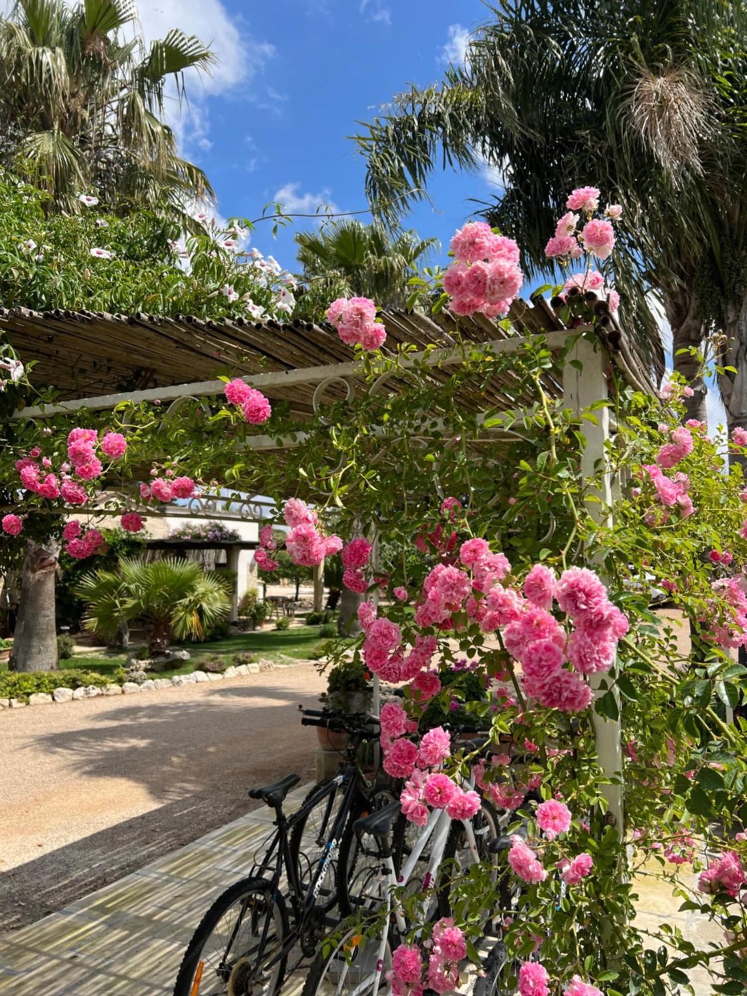 Masseria Casina Montana Corigliano dʼOtranto Екстериор снимка